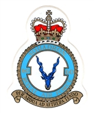 60 SQN CREST STICKER