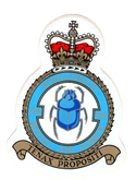 64 SQN CREST STICKER
