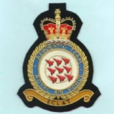 RED ARROWS ECLAT CREST GOLD WIRE BADGE