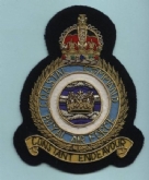 RAF COASTAL COMMAND CREST GOLD WIRE BADGE