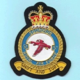 51 SQN CREST GOLD WIRE BADGE