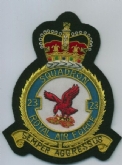 23 SQN CREST GOLD WIRE BADGE