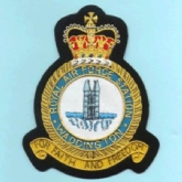 RAF WADDINGTON CREST GOLD WIRE BADGE