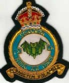 9 SQN CREST KC GOLD WIRE BADGE