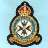261 SQN CREST GOLD WIRE BADGE