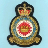 MIDDLE EAST AIR FORCE CREST GOLD WIRE BADGE