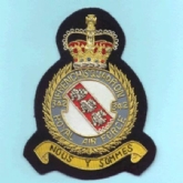 342 (FRENCH) SQN OFFICIAL CREST GOLD WIRE BADGE
