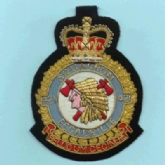 421 (CANADIAN) SQN GOLD WIRE BADGE