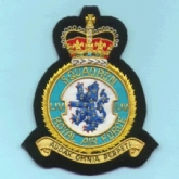 54 SQN CREST GOLD WIRE BADGE