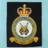 JOINT AIR PHOTOGRAPHY INT CENTRE GOLD WIRE BADGE
