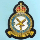216 SQN (KC) CREST GOLD WIRE BADGE