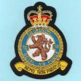 78 SQN CREST GOLD WIRE BADGE