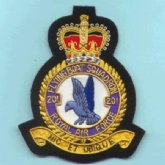 201 SQN CREST GOLD WIRE BADGE