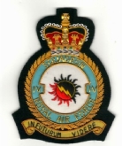 4 SQN CREST GOLD WIRE BADGE