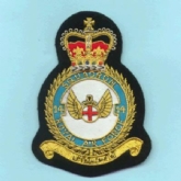 14 SQN CREST GOLD WIRE BADGE