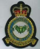 9 SQN CREST GOLD WIRE BADGE