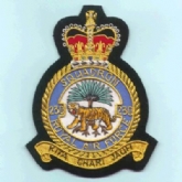 230 SQN CREST GOLD WIRE BADGE