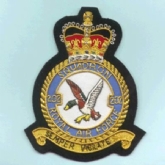 202 SQN CREST GOLD WIRE BADGE