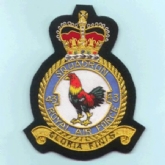 43 SQN CREST GOLD WIRE BADGE