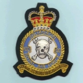 100 SQN CREST GOLD WIRE BADGE