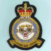 74 SQN CREST GOLD WIRE BADGE