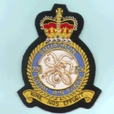 206 SQN CREST GOLD WIRE BADGEE