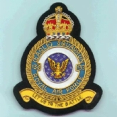 133 (EAGLE) SQN CREST GOLD WIRE BADGE