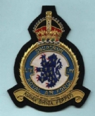 54 SQN CREST (KC) GOLD WIRE BADGE
