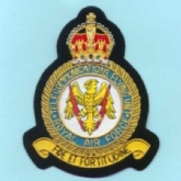 TELECOMMS FLYING UNIT GOLD WIRE BADGE