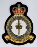 12 GROUP HQ CREST GOLD WIRE BADGE