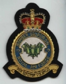 9 BOMBER SQN GOLD WIRE BADGE