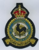 82 SQN CREST GOLD WIRE BADGE