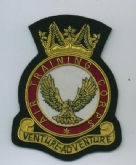 ATC CREST GOLD WIRE BADGE