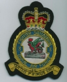3 SQN CREST GOLD WIRE BADGE