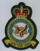 20 SQN CREST GOLD WIRE BADGE