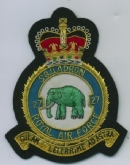 27 SQN CREST GOLD WIRE BADGE