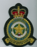 31 SQN CREST GOLD WIRE BADGE