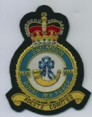 32 SQN CREST GOLD WIRE BADGE