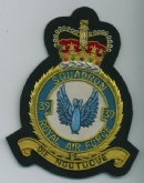 39 SQN CREST GOLD WIRE BADGE