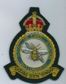 RAF BUTTERWORTH CREST GOLD WIRE BADGE