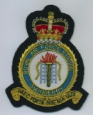 RAF SWINDERBY CREST GOLD WIRE BADGE