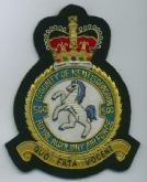 500 SQN CREST QC GOLD WIRE BADGE