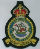 118 SQN CREST KC GOLD WIRE BADGE