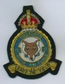 12 SQN CREST KC GOLD WIRE BADGE