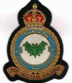 9 SQN CREST KC GOLD WIRE BADGE