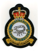 84 SQN CREST GOLD WIRE BADGE