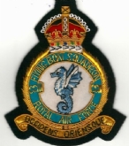 203 SQN CREST KC GOLD WIRE BADGE