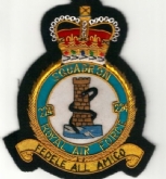 224 SQN CREST GOLD WIRE BADGE