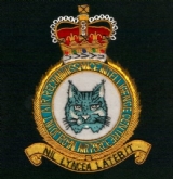JARIC CREST GOLD WIRE BADGE