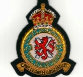 602 RAuaxAF SQN CREST KC GOLD WIRE BADGE